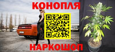 СК Будённовск