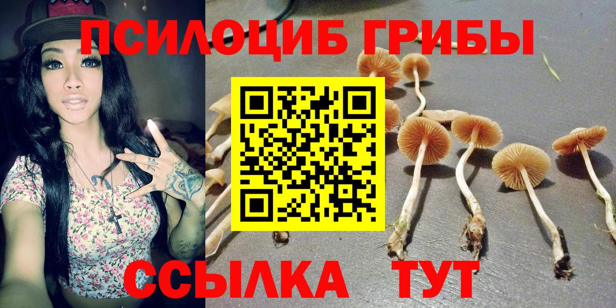Реутов  Галлюциногенные грибы прущие грибы  Вход с VPN 