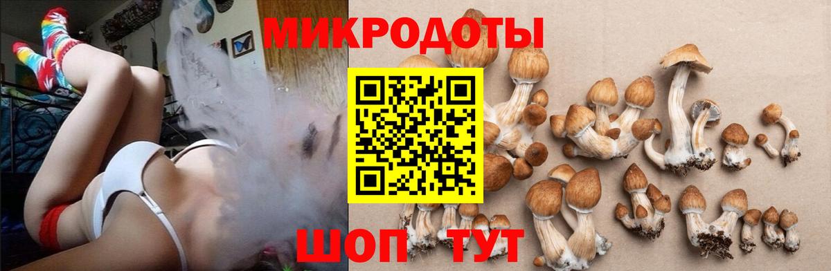 Псилоцибиновые грибы мицелий Реутов